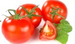 霍格沃茨吃瓜番茄,吃瓜番茄的魔法校园生活