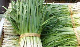 韭大聪明吃瓜,揭秘网络热点的背后真相