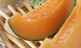 在瓜地吃哈密瓜