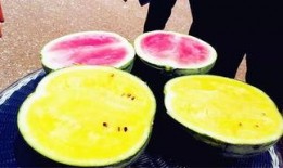 大裤衩吃瓜,揭秘娱乐圈幕后故事