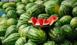 629吃瓜网访问,热门话题背后的网络影响力