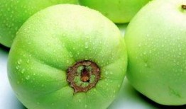 吃瓜甜瓜文案短句搞笑,甜瓜文案里的欢乐时光