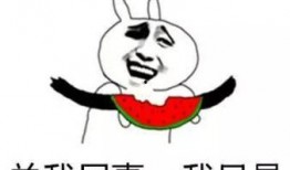 关于吃瓜的词汇,揭秘吃瓜词汇背后的文化现象