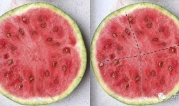 友谊99吃瓜,吃瓜群众见证的瓜界风云