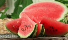 spsa-58 吃瓜,揭秘吃瓜群众的智慧与力量