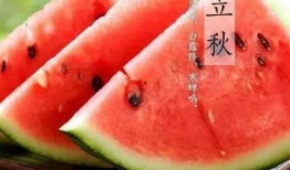健康之路立秋巧吃瓜,瓜果飘香——健康之路巧吃瓜攻略