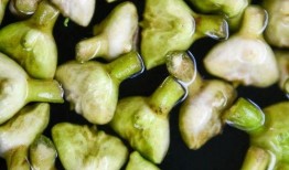 大城吃瓜姜文文,姜文文演绎都市美食传奇