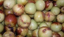 歪瓜裂枣怎么吃,歪瓜裂枣的多样食法探索