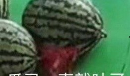 网友们在哪里吃瓜