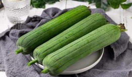 秋季吃瓜怎么吃好,美味又养生的吃瓜技巧