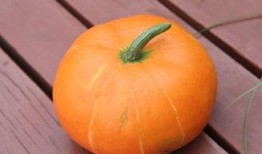 秋季吃瓜的功效,吃瓜也能润燥养颜