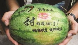 山西吃瓜恐龙,探寻三晋大地上的神秘史前生物