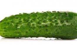 哪里可以天天吃瓜,揭秘娱乐圈的“新鲜瓜果”