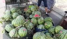 福建家长吃瓜事件,揭秘校园食品安全风波背后的真相