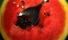 带你吃瓜奇葩文物,带你领略那些“吃瓜群众”眼中的奇葩文物