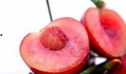 小樱桃吃瓜,小樱桃的夏日吃瓜日记