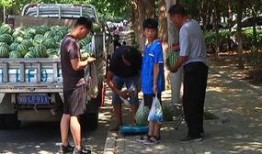 顺平吃瓜群众,揭秘当地热点事件背后的故事