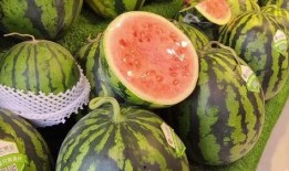 哪里可以天天吃瓜,揭秘娱乐圈的“新鲜瓜果”