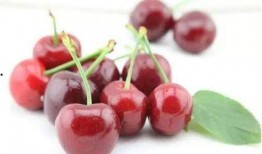 北美吃瓜小樱桃