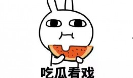 放飞吃瓜完结,一场舌尖上的狂欢盛宴