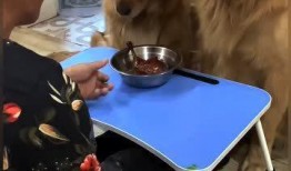 和阿毛吃瓜,揭秘娱乐圈那些不为人知的幕后故事