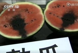 鹏瓜最新吃瓜视频