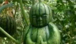 海外热门吃瓜,揭秘海外那些令人捧腹的“吃瓜”事件