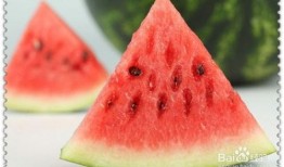 猴王吃瓜led素材