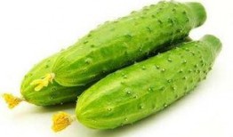 弯弯不弯吃瓜,揭秘网络热词背后的文化现象