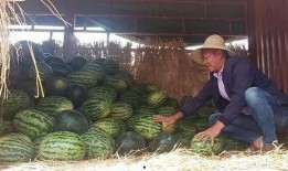 昆明街舞吃瓜,一场“吃瓜”盛宴背后的故事