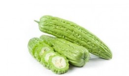 糖人可以吃小瓜不,甜蜜与清爽的完美结合