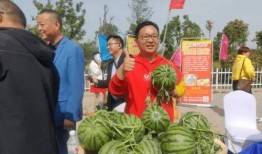 夏邑县吃瓜,瓜香四溢，品味乡愁