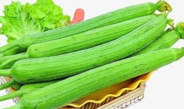 每日吃很多瓜,揭秘每日吃瓜的奇妙世界