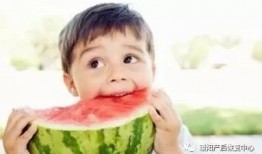 吃瓜年龄,揭秘吃瓜年龄的趣味世界