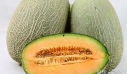 喝可乐吃哈密瓜会怎样,意想不到的饮食组合效应揭秘