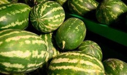 凉山现代吃瓜事件,揭秘网络舆论的狂欢与反思