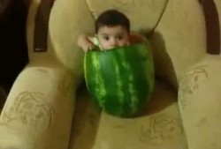 两个人吃瓜,两位吃瓜者的欢乐时光