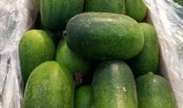 富熟瓜怎么吃,解锁美味新境界