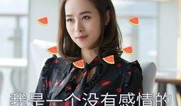 吃瓜一姐起风了,揭秘“起风了”背后的故事