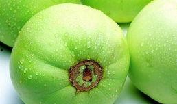 止咳瓜怎么吃,止咳瓜的多样食用方法与营养解析