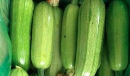 美女吃西葫芦瓜图片,美女与西葫芦瓜的邂逅瞬间