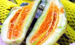 山东吃瓜热门事件,一场吃瓜群众的狂欢与反思