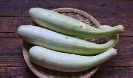 正常吃瓜一天吃几块,揭秘一天吃几块瓜的养生之道