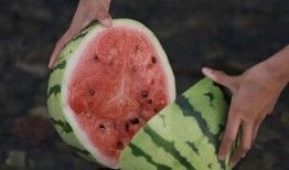 梦见瓜地里吃瓜,瓜地寻瓜，甜蜜滋味揭秘