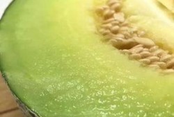 佛山瓜可以吃吗,揭秘其可食用之谜