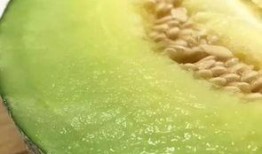 佛山瓜可以吃吗,揭秘其可食用之谜