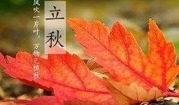 健康之路立秋巧吃瓜,瓜果飘香——健康之路巧吃瓜攻略