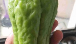 云南牙牙瓜怎么吃