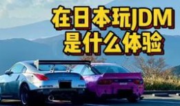 华人玩车吃瓜,吃瓜群众眼中的汽车江湖风云