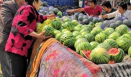 吃瓜源头.中国,中国网络舆论场中的热点追踪与真相探寻